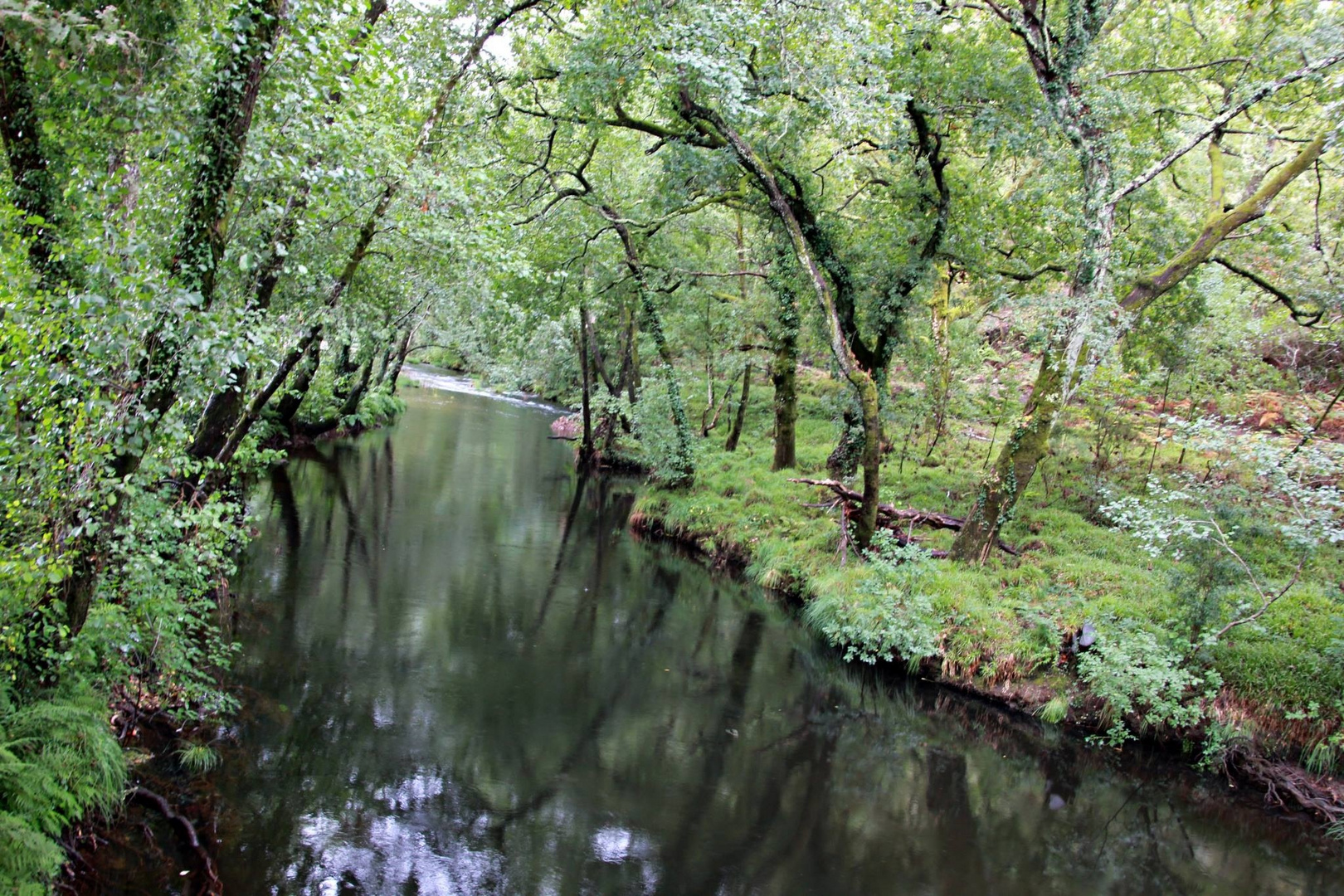 Río Verdugo