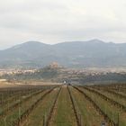 Rioja Panorama