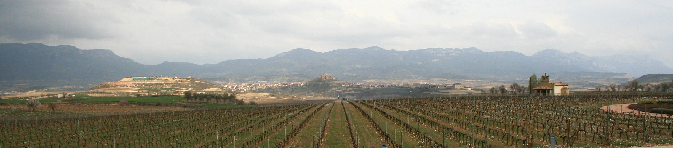 Rioja Panorama