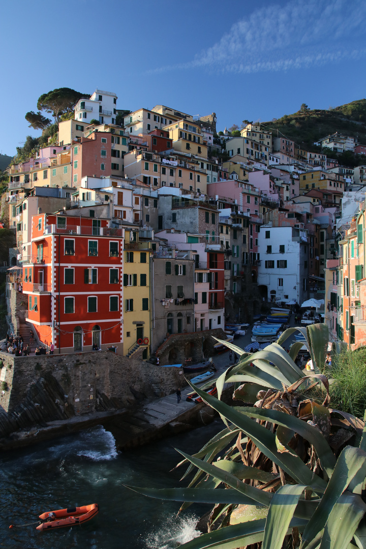 Riomaggiore