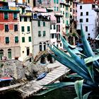 Riomaggiore