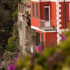 Riomaggiore - Cinque Terre - Urlauben ..