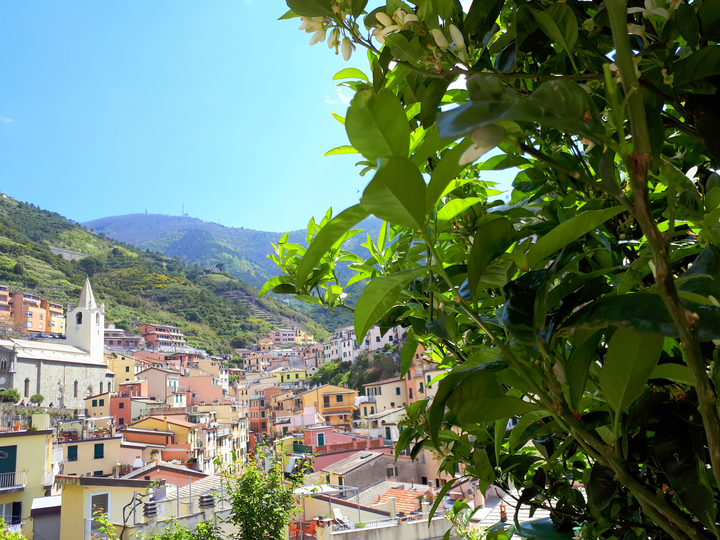 Riomaggiore, Italie