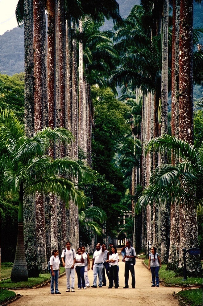 Rio's Botanischer Garten