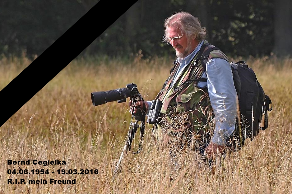 R.I.P. Bernd F. Cegielka