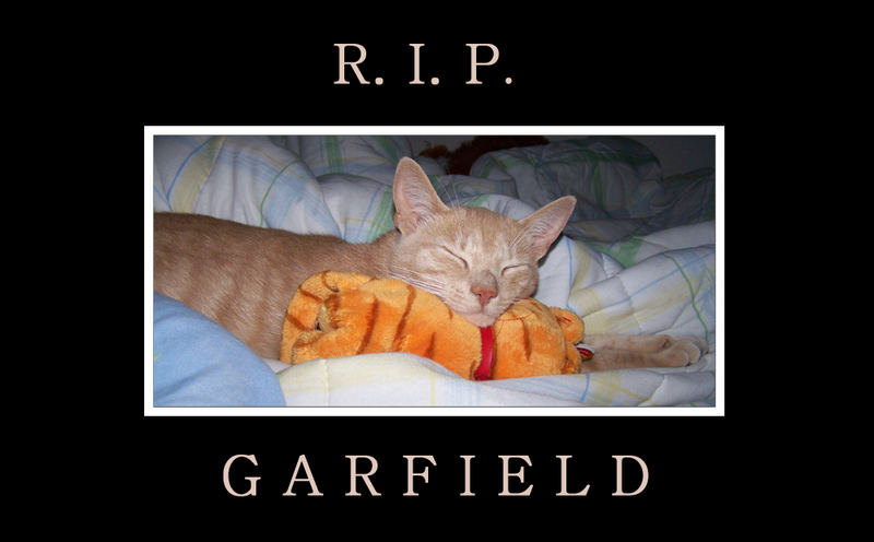 RIP Garfield