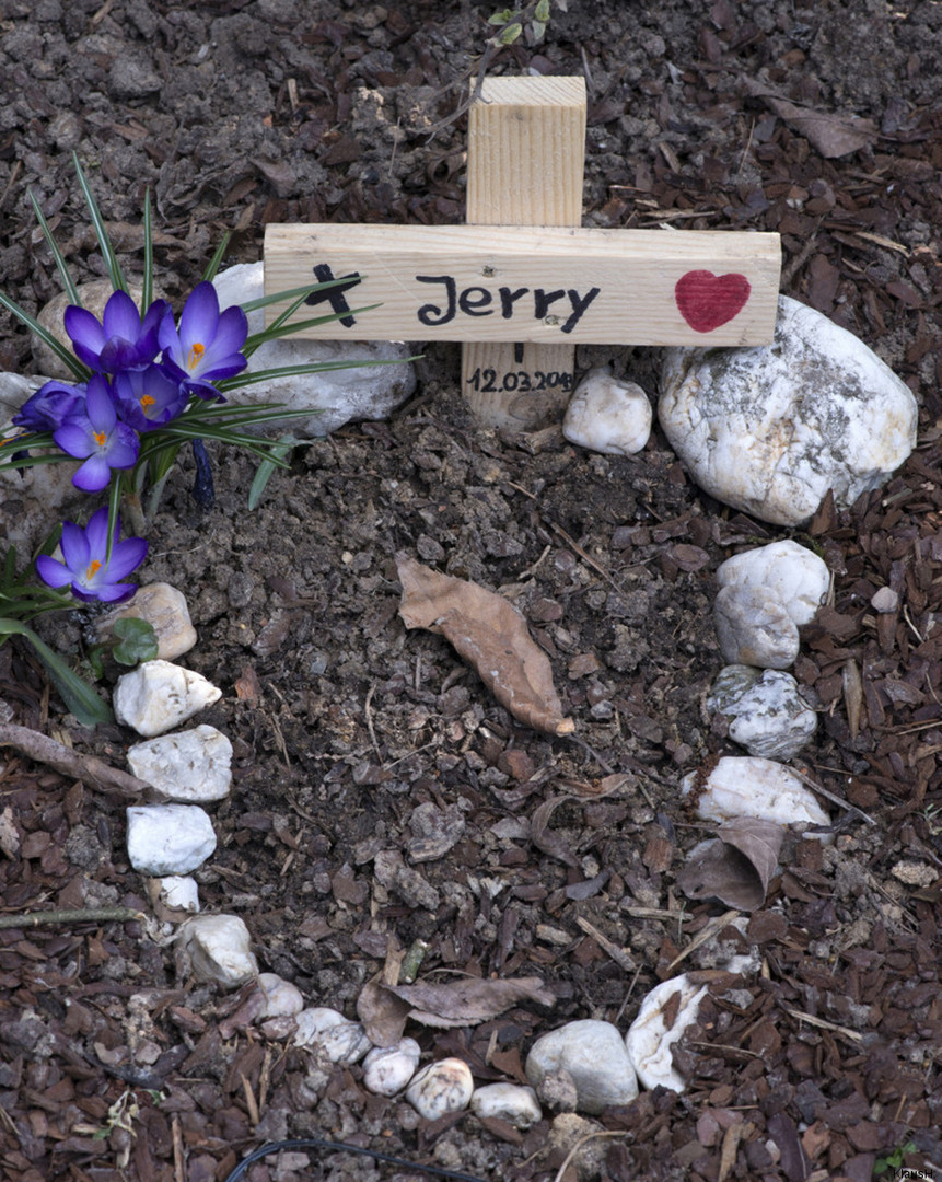 ~ R.I.P. Jerry ~