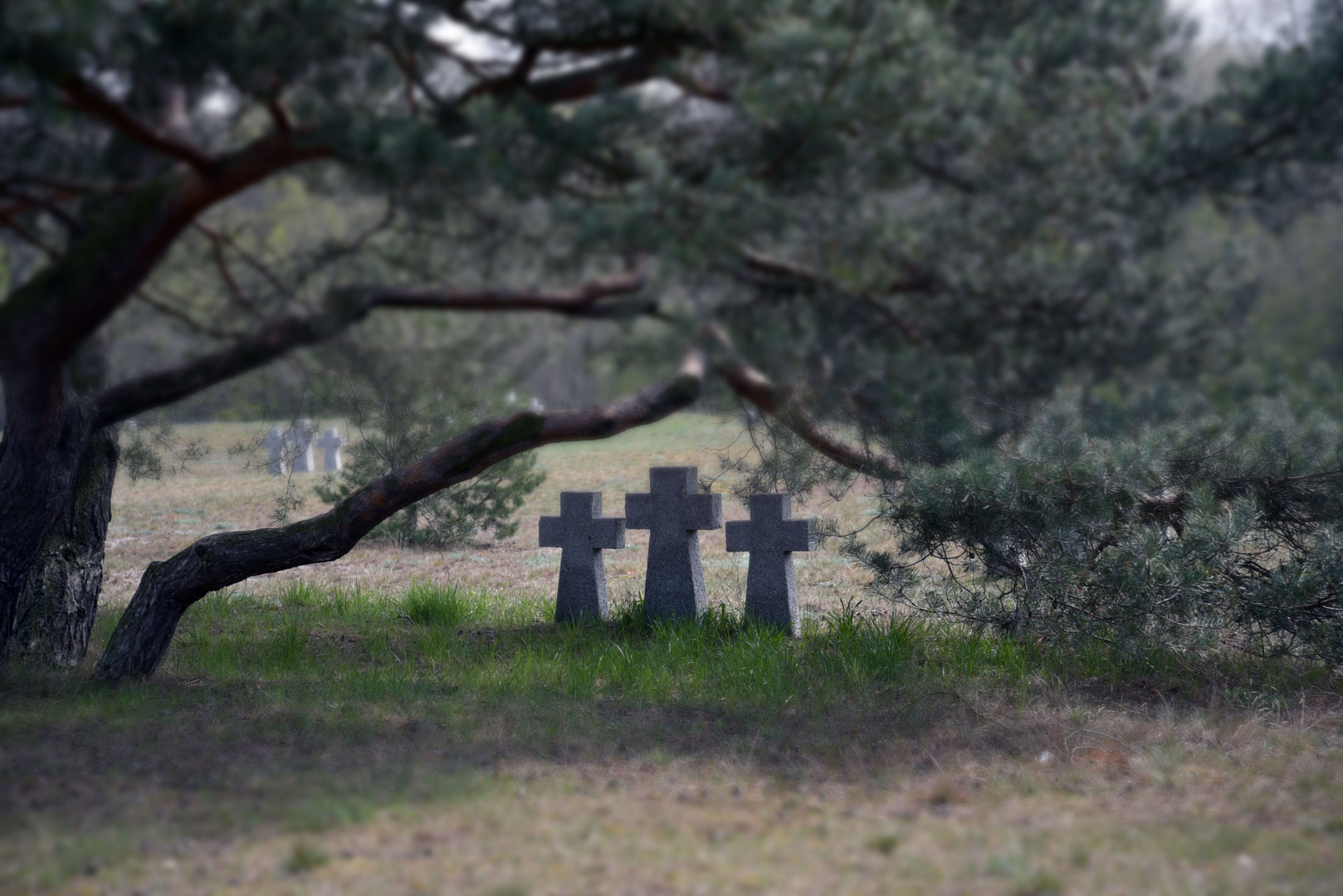 RIP - Kriegsgräberfriedhof in Pillau