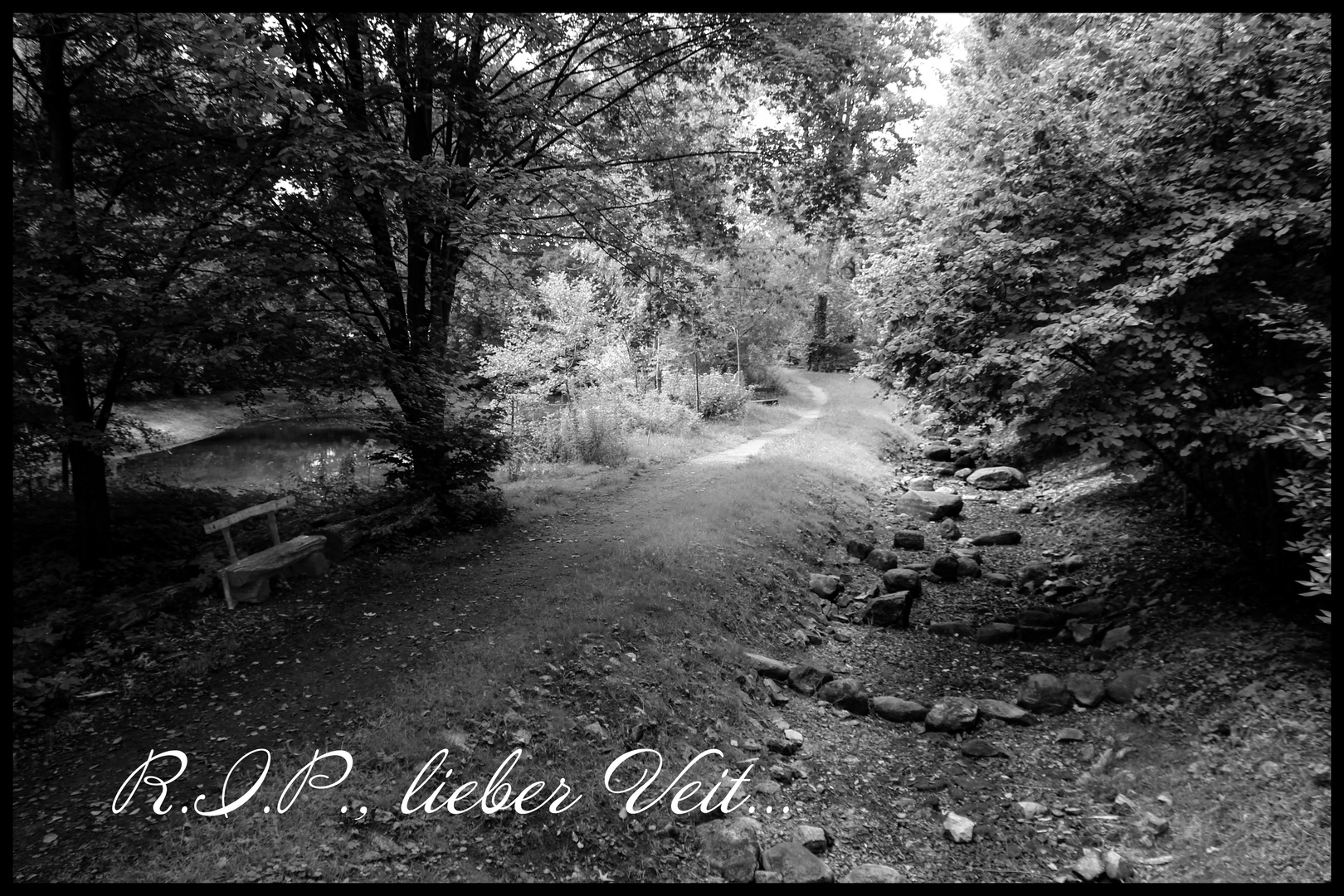 R.I.P., lieber Veit Schadow...