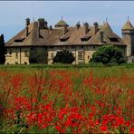 "Ripailler" au milieu des coquelicots !