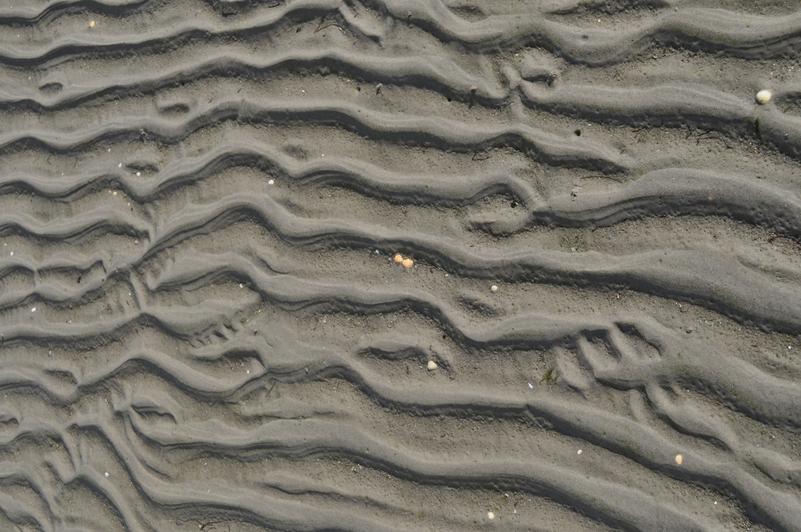 Rippelmarken am Strand bei Goting, Föhr 3