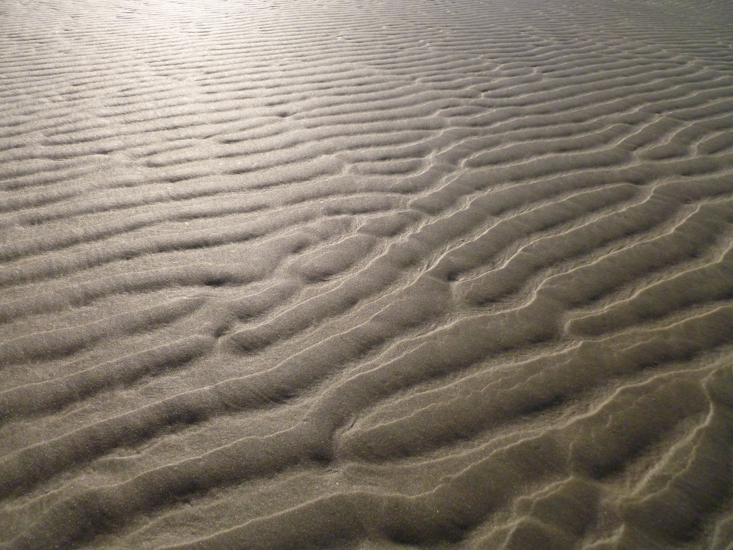 Rippelmarken auf Borkum