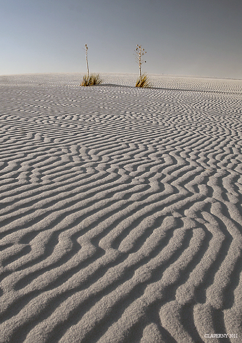 Ripple marks in White Sands NM