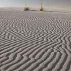 Ripple marks in White Sands NM