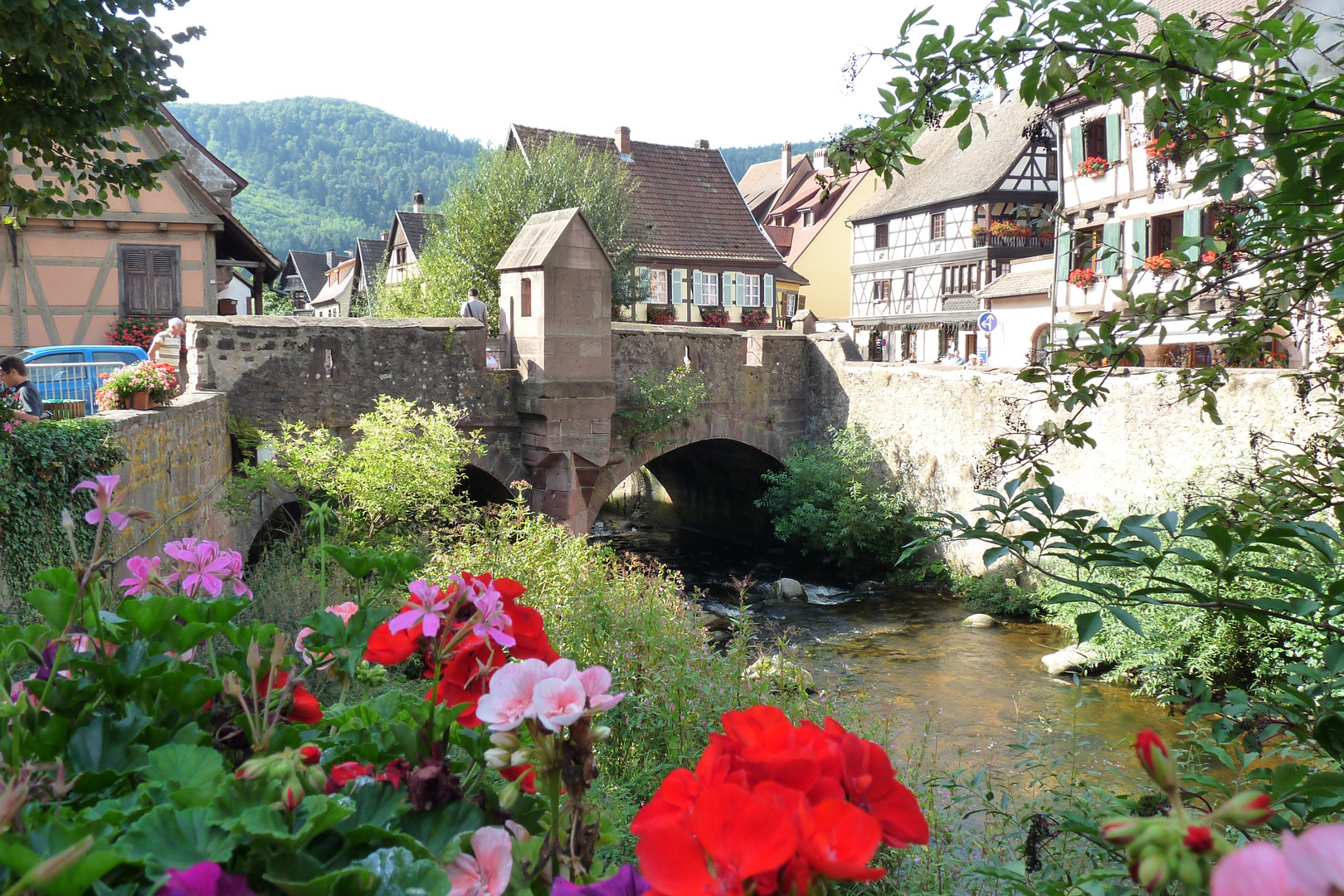 Riquewihr, la rivière au village