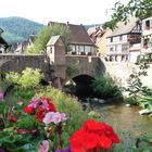 Riquewihr, la rivière au village