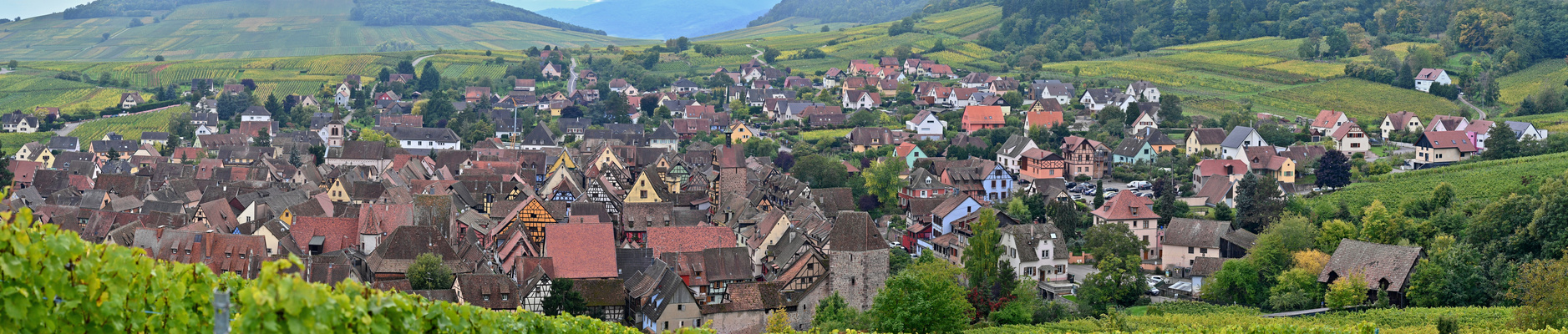 Riquewir im Elsass