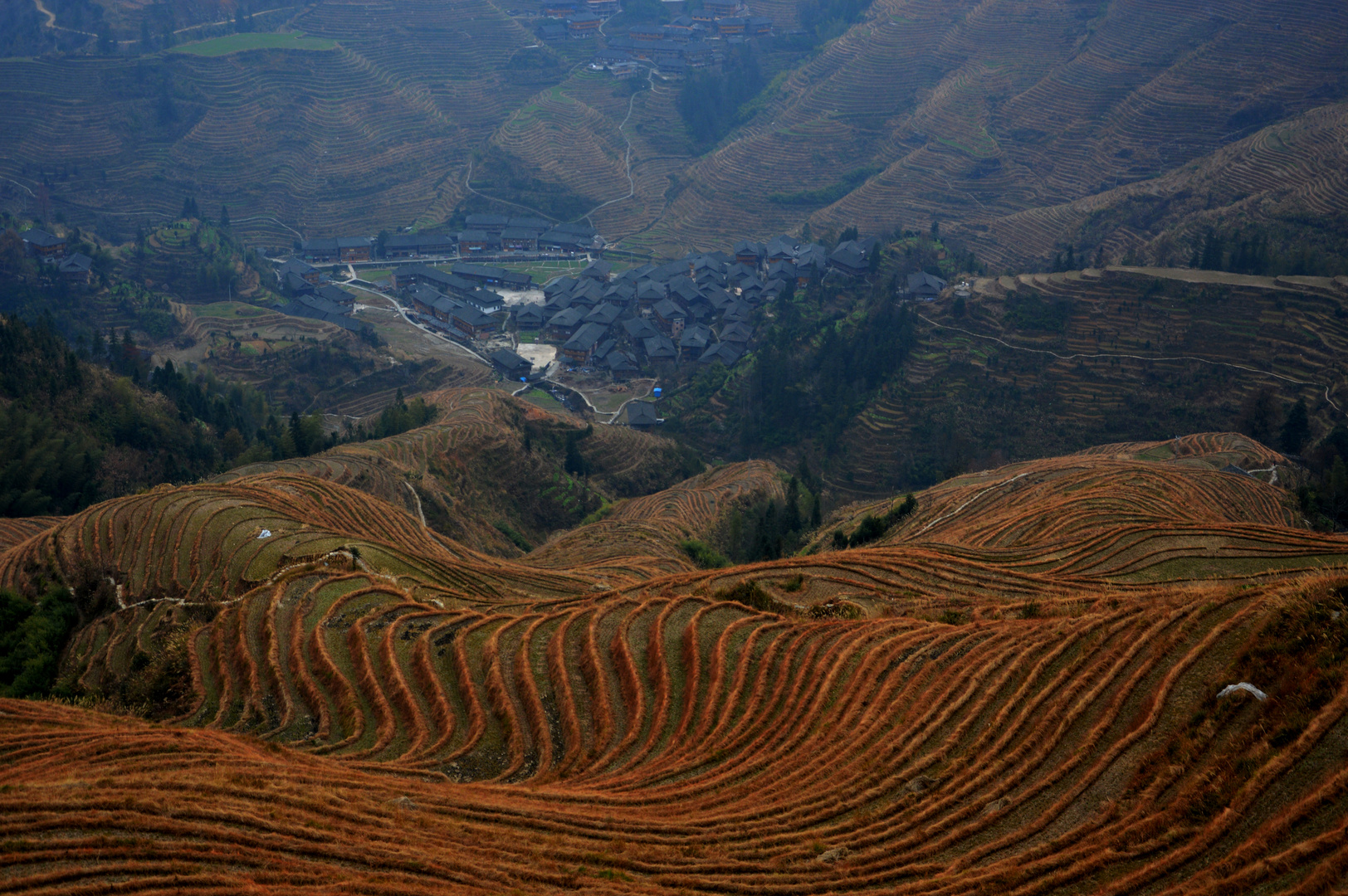 Risaie di Langsheng (China)