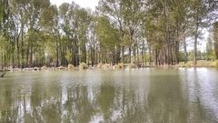 Risco Plateado en color