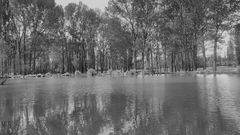 Risco Plateado, Malargüe