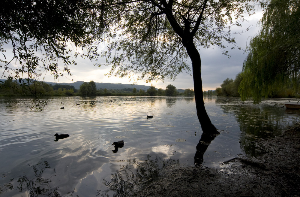 Riserva naturale di Posta Fibreno (FR)