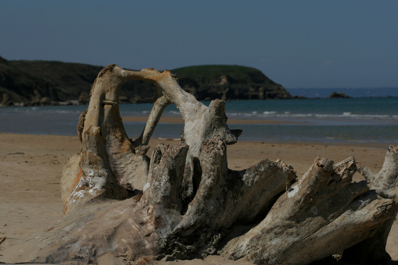 Riserva Naturale di Punta Aderci