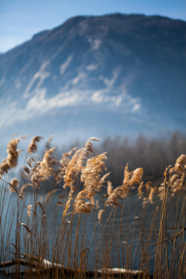 Riserva Naturale Speciale di Fondotoce 3