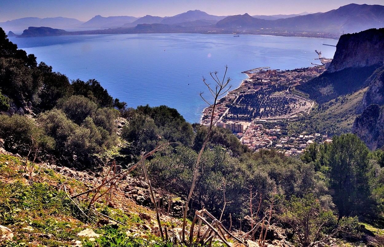 Riserva orientata di Montepellegrino (Palermo, Sicily).