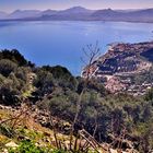 Riserva orientata di Montepellegrino (Palermo, Sicily).