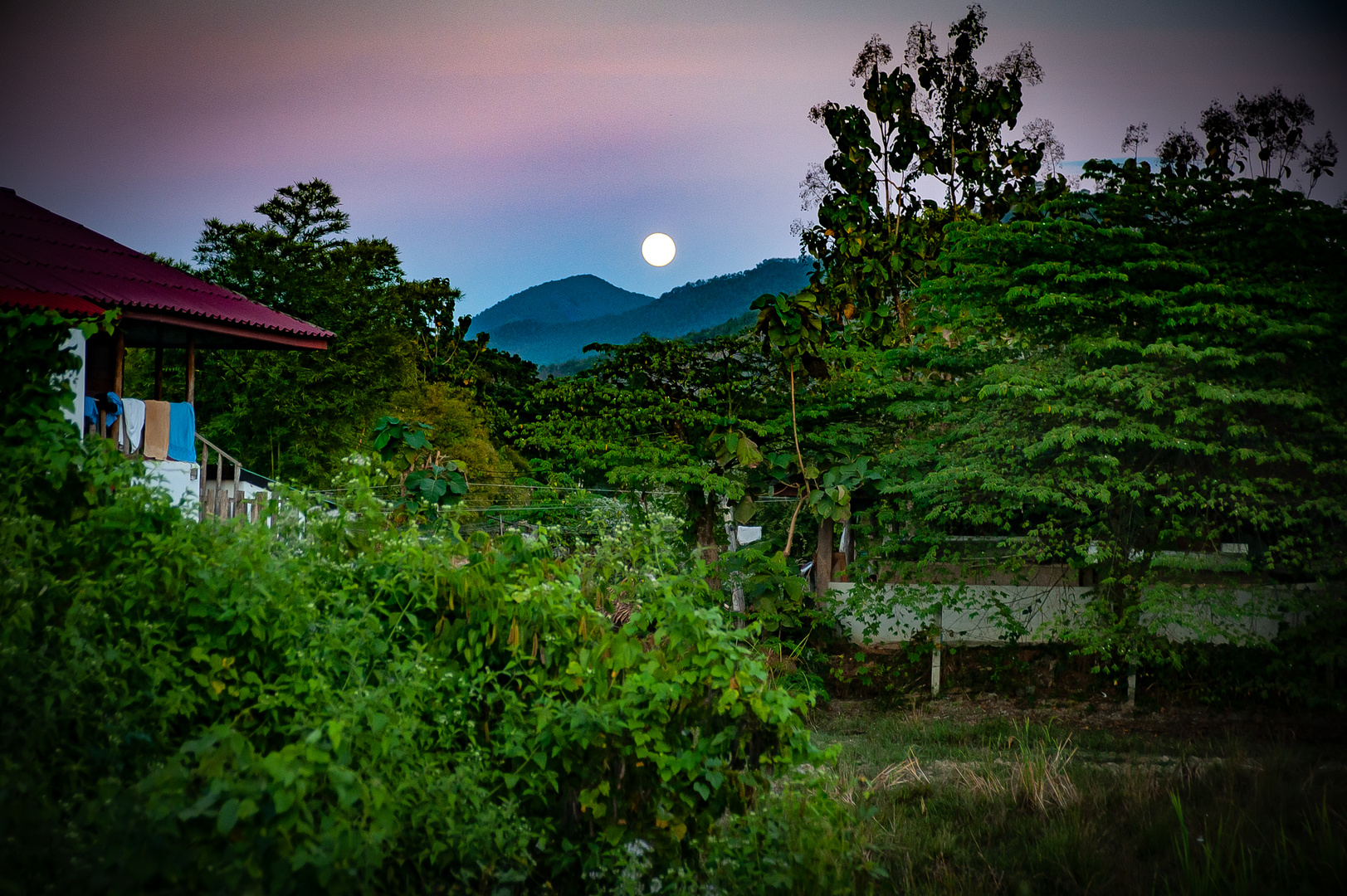 Rising moon along the highway