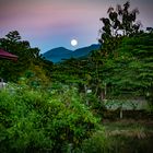 Rising moon along the highway