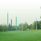 Rising of the Bins in a city garden