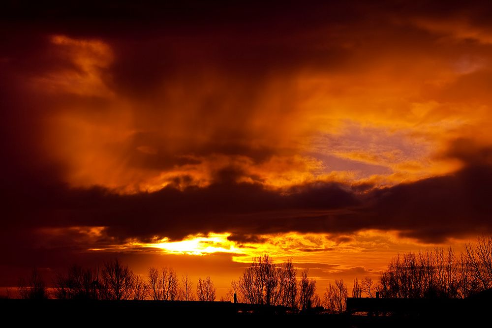 Rising over Hamburg