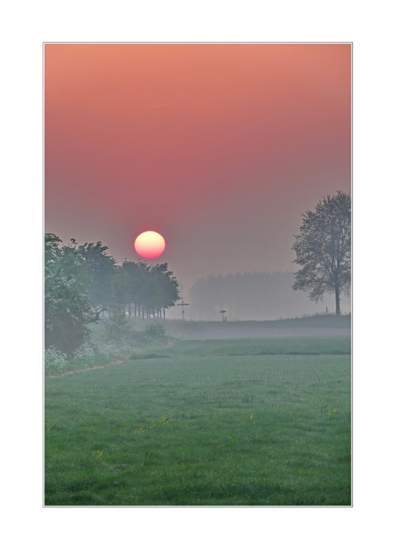 ...rising (Sonnenaufgang) 26.04.2011, 7:40:58 am