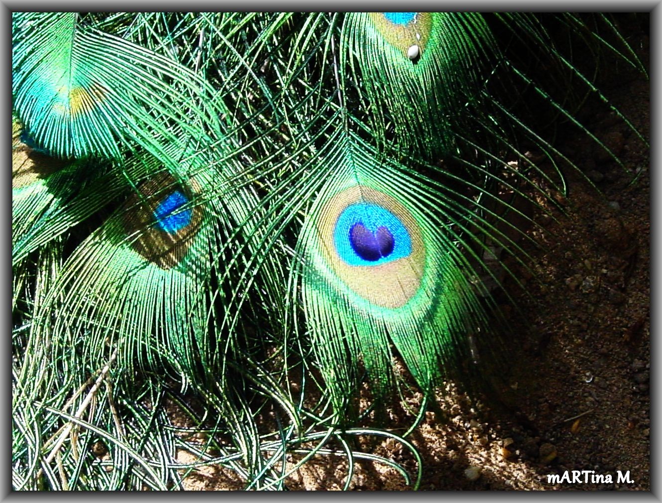 Riskiere einen Augen-Blick