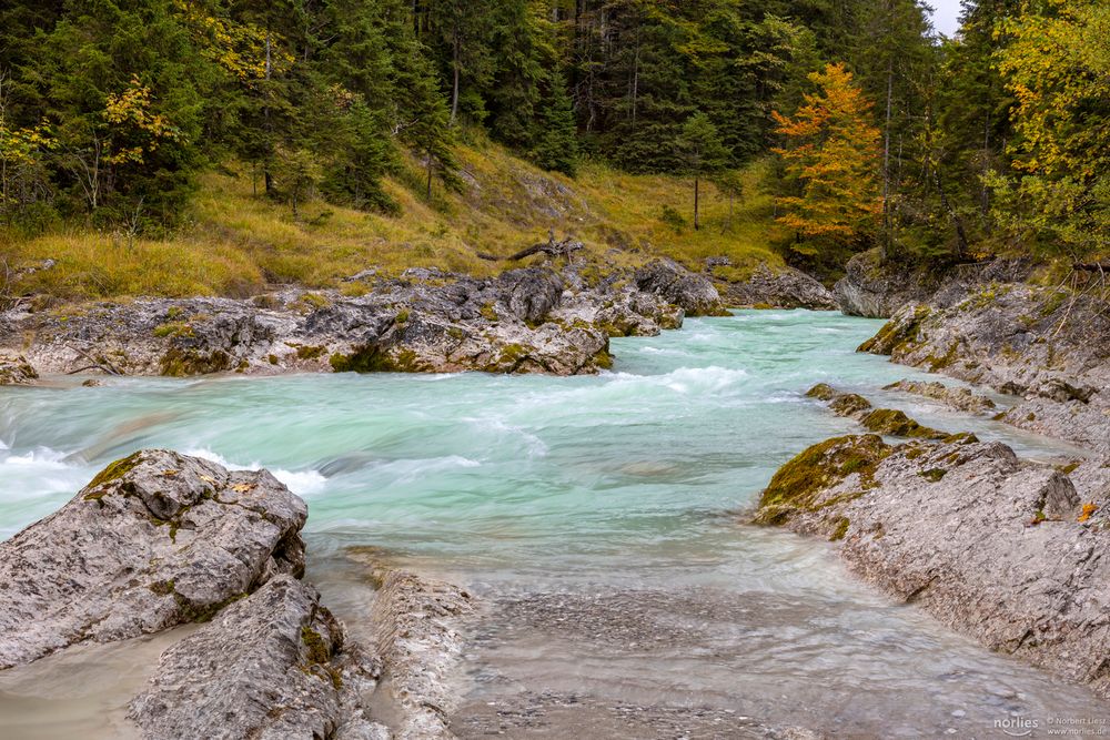 Rißbach Wasser