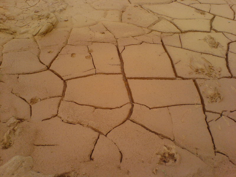 Risse im Sand