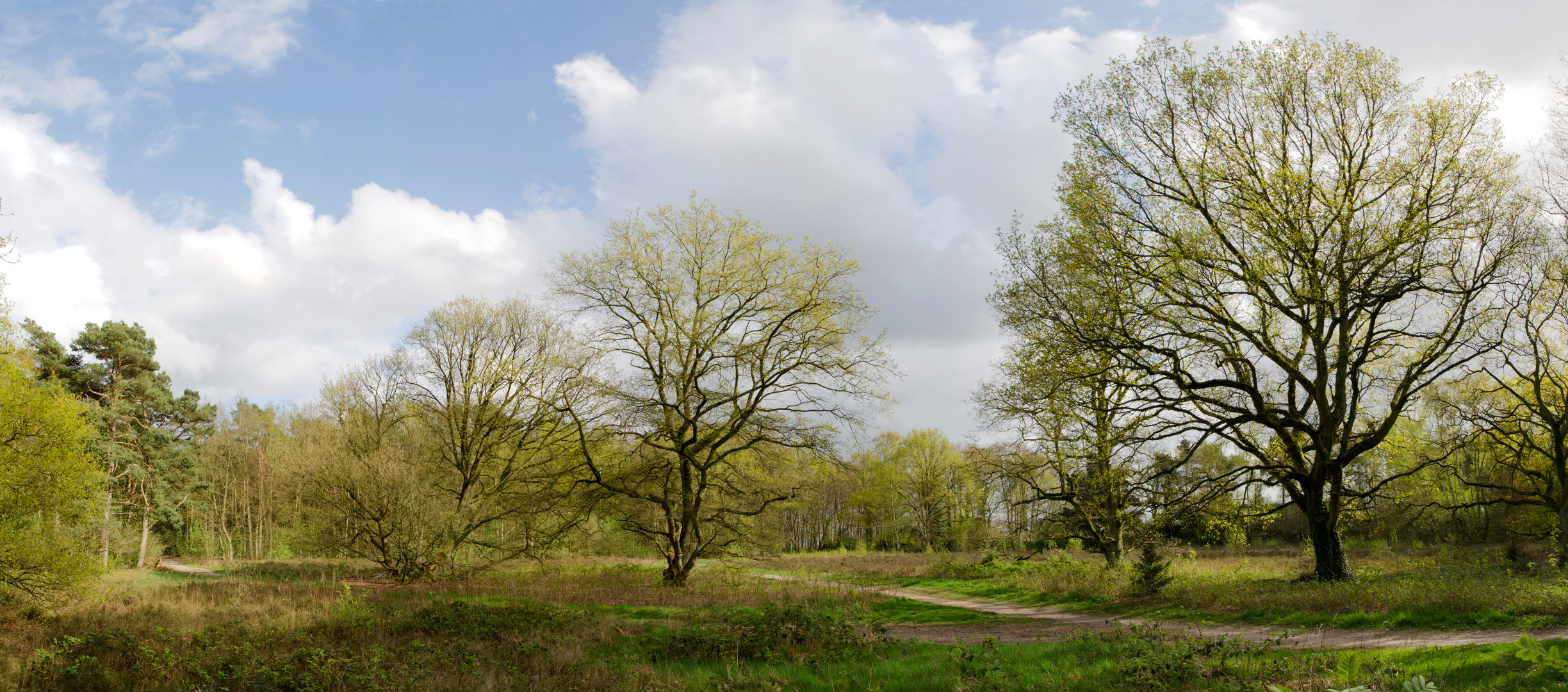 Rissener Heide