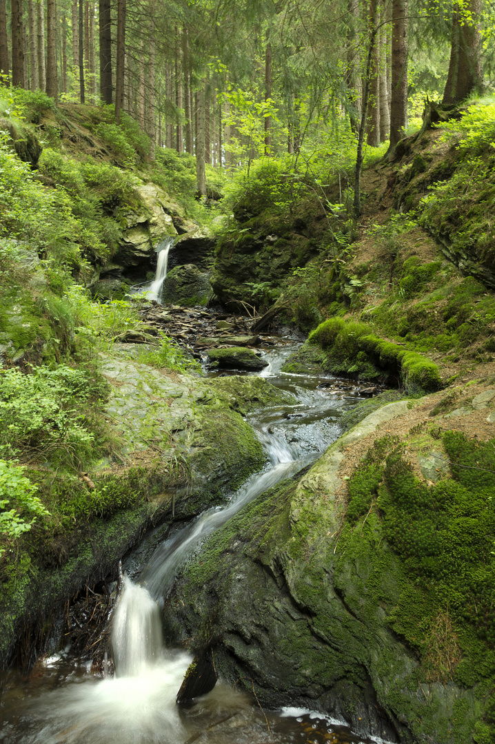 Rissfälle im oberen Vogtland