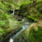 Rissfälle im oberen Vogtland