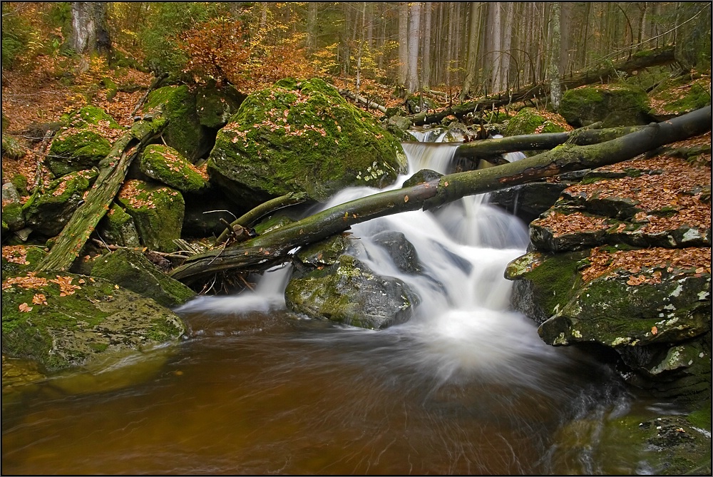 Rißloch Wasserfälle im Herbst 3