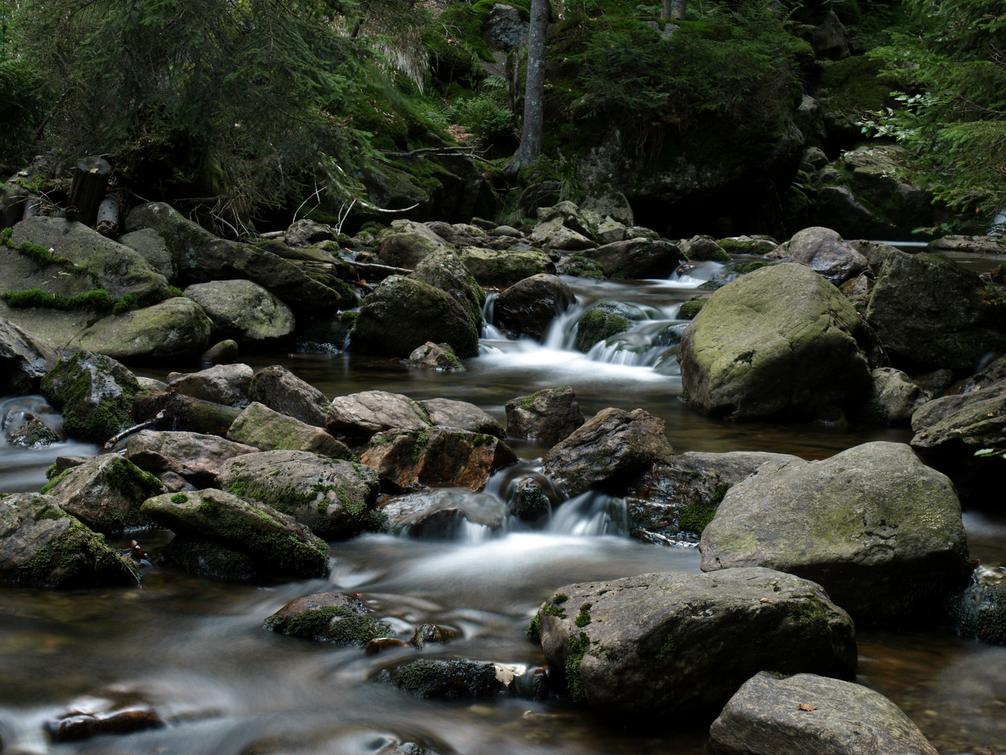 Rißlochfälle