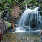 Risslochfälle am Arber in Niederbayern