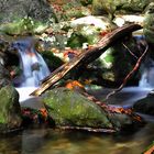 Rißlochfälle bei Bodenmais - I