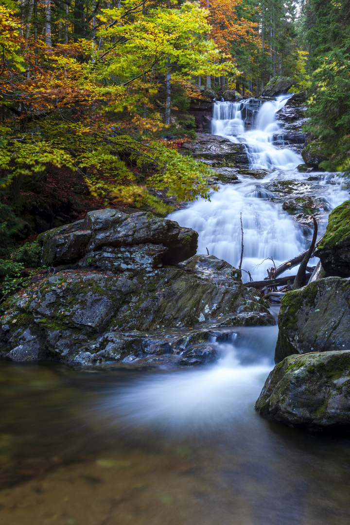 Rißlochfälle im Bayerischen Wald