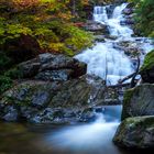 Rißlochfälle im Bayerischen Wald