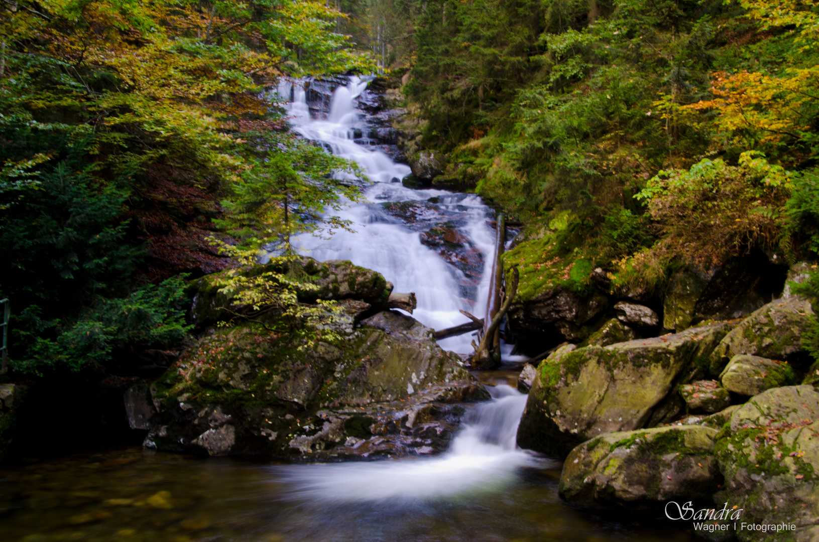 Rißlochfälle im Herbst