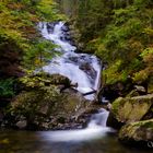 Rißlochfälle im Herbst