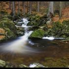 Rißlochfälle im Oktober