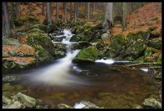 Rißlochfälle im Oktober